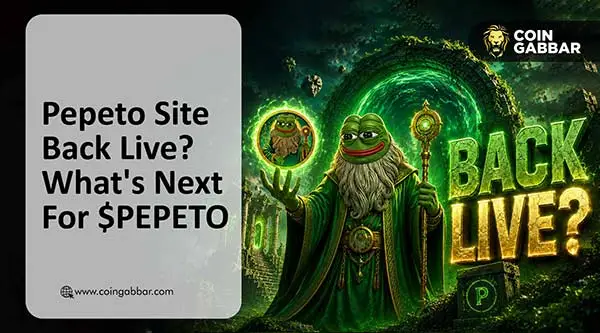 Detail view for PepetoCoin